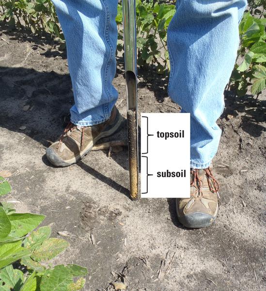 Figure 6-1. Routine soil samples should be collected from the to